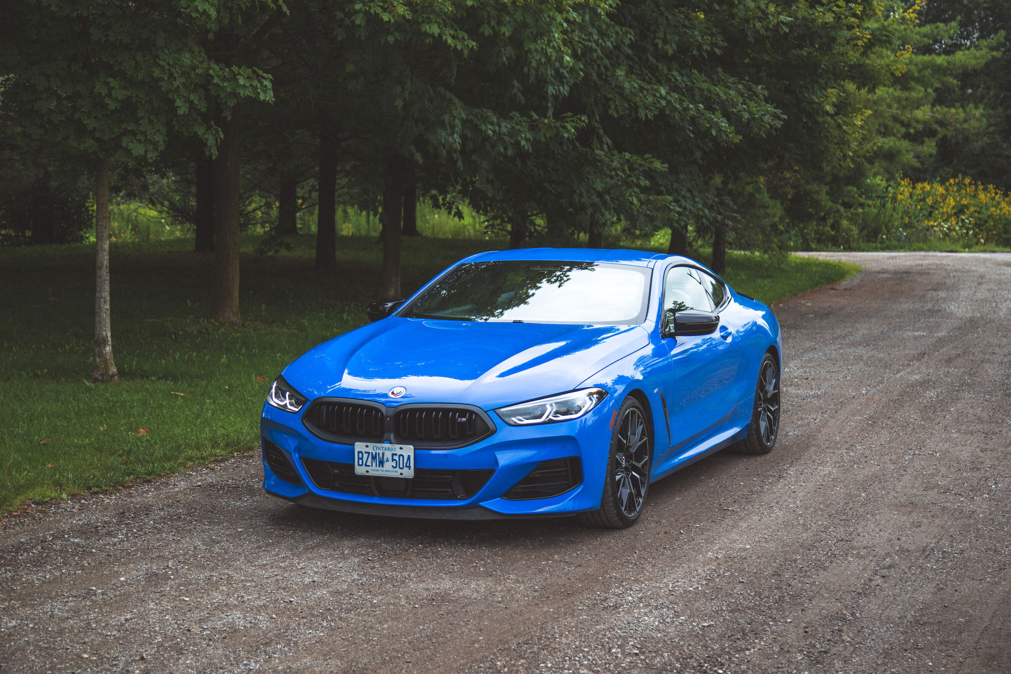 BMW M850I XDRIVE REVIEW visual data 6