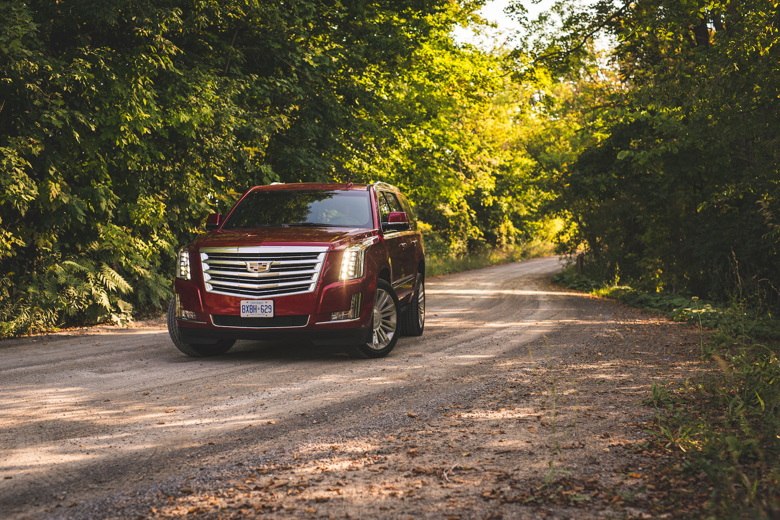 Review: 2015 Cadillac Escalade Platinum