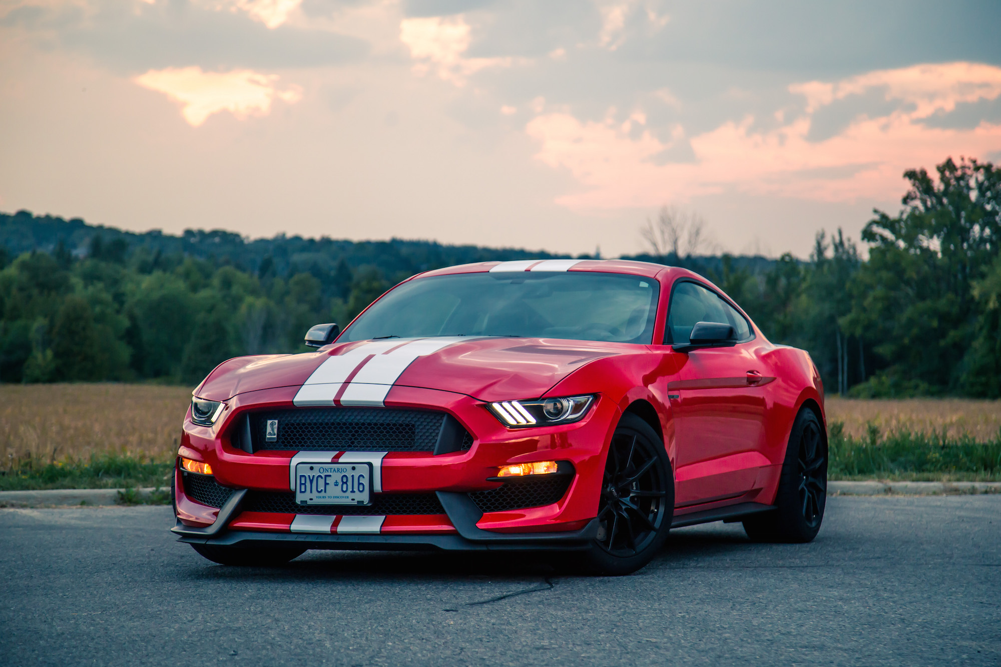 Review: 2016 Ford Shelby GT350