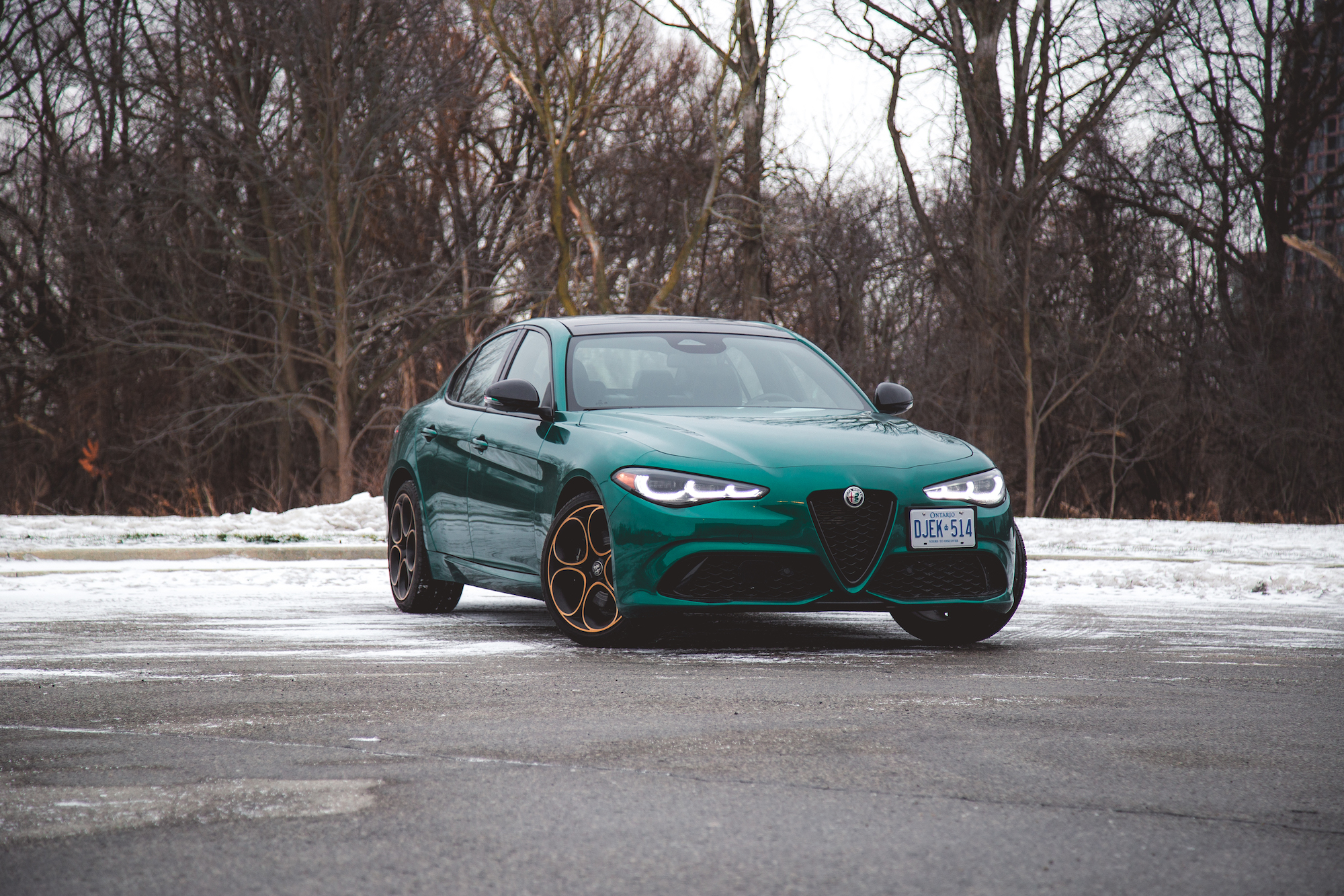 Un sedán Alfa Romeo verde estacionado en un terreno nevado con árboles áridos al fondo.