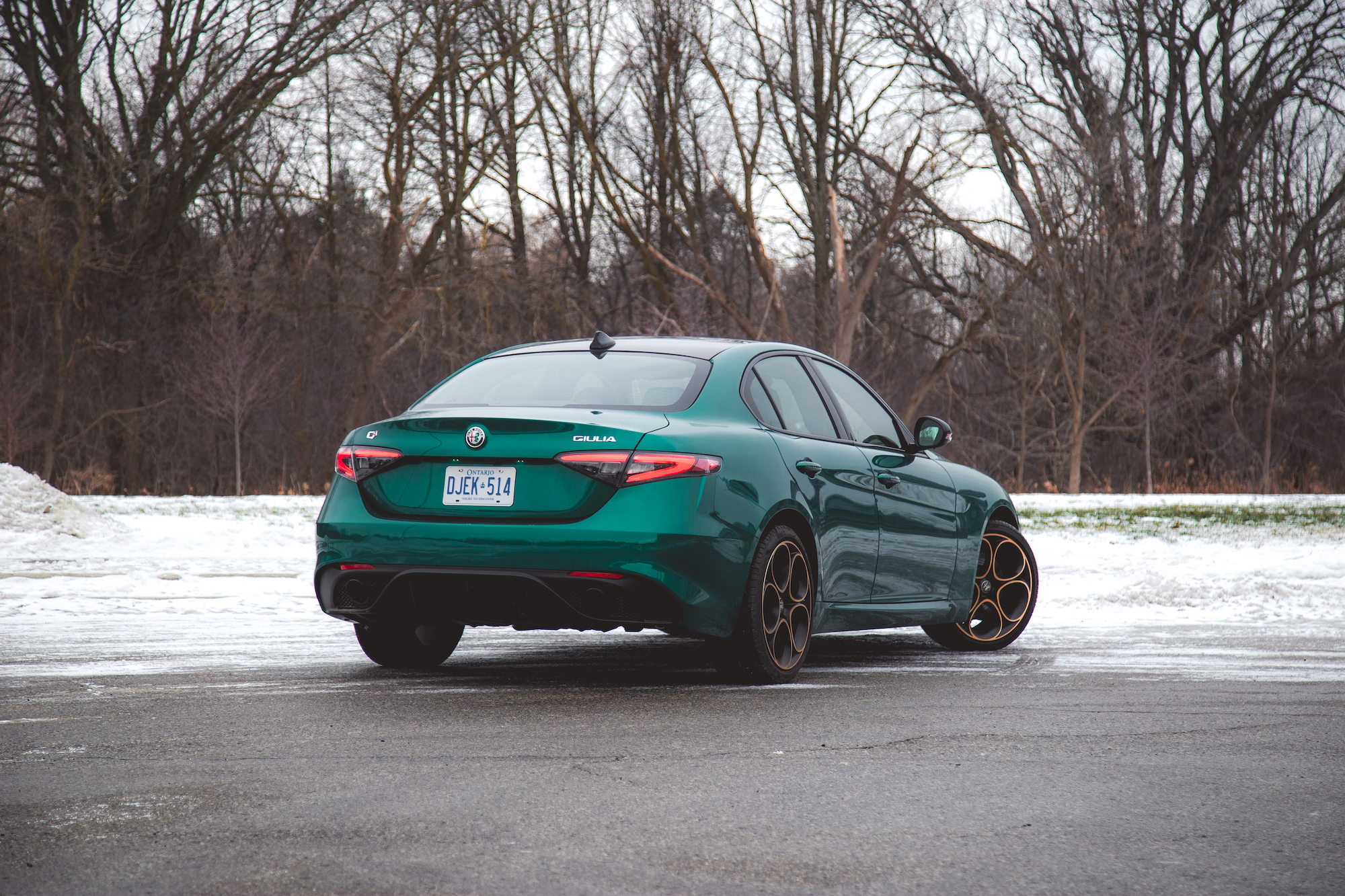 Un Alfa Romeo Giulia verde estacionado en un entorno invernal, con nieve en el suelo y árboles desnudos al fondo.