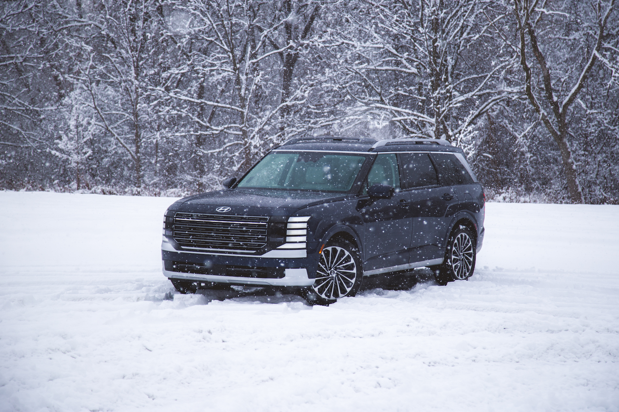 Una camioneta de color oscuro estacionada en un paisaje nevado, rodeada de árboles cubiertos de nieve blanca, con nevadas visibles en la escena.