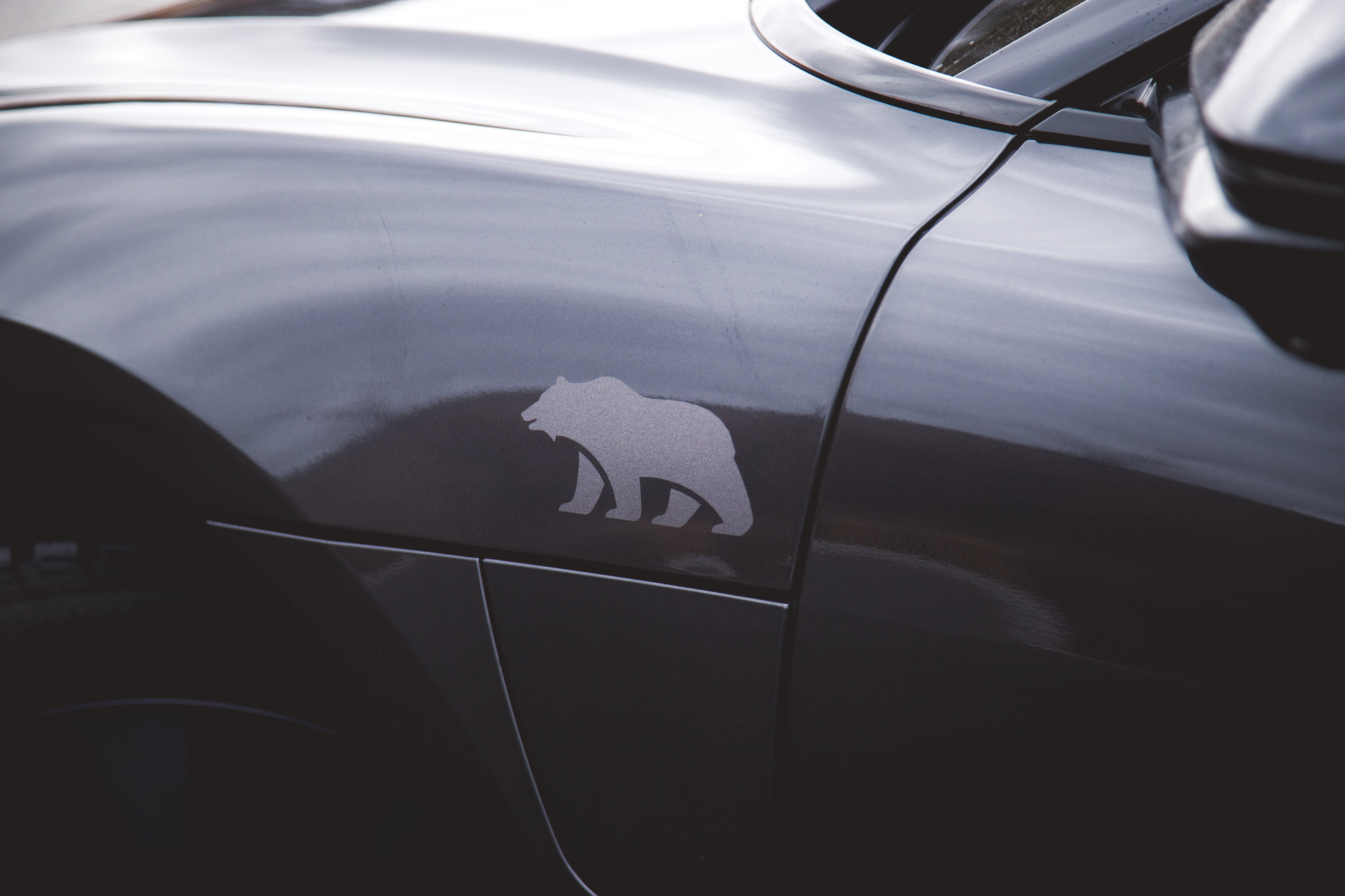 Un primer plano de la puerta de un automóvil gris con el logotipo de la silueta de un oso en el costado.