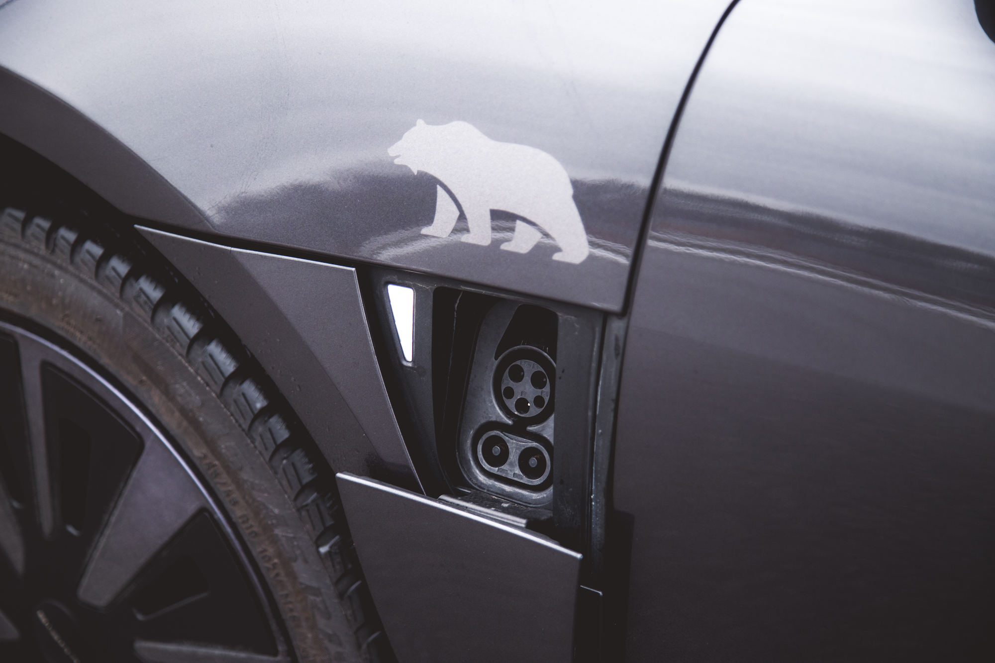 Primer plano del puerto de carga de un vehículo eléctrico con el logo de un oso en el lateral.