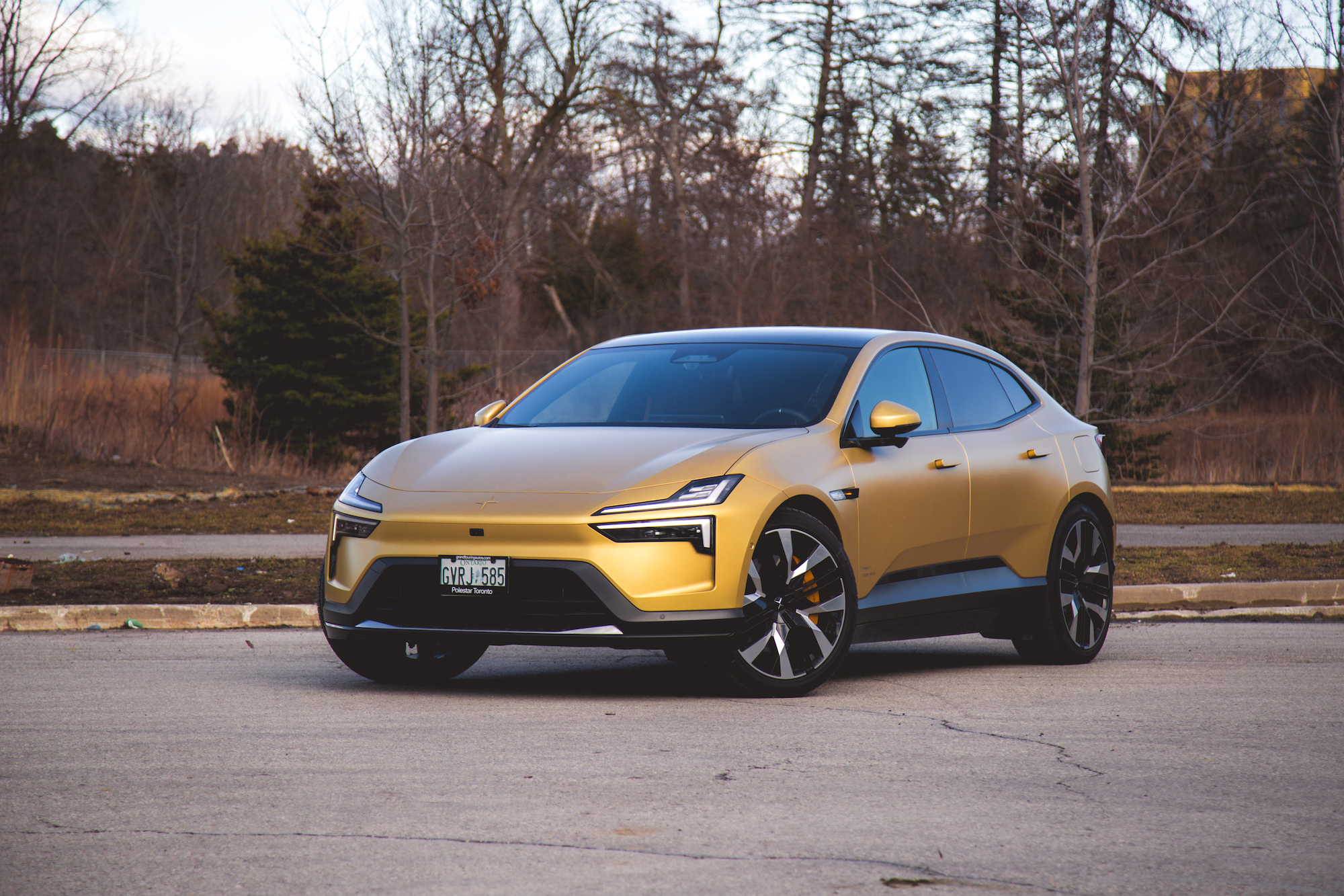 Un elegante coche eléctrico dorado estacionado en un entorno natural con árboles al fondo.