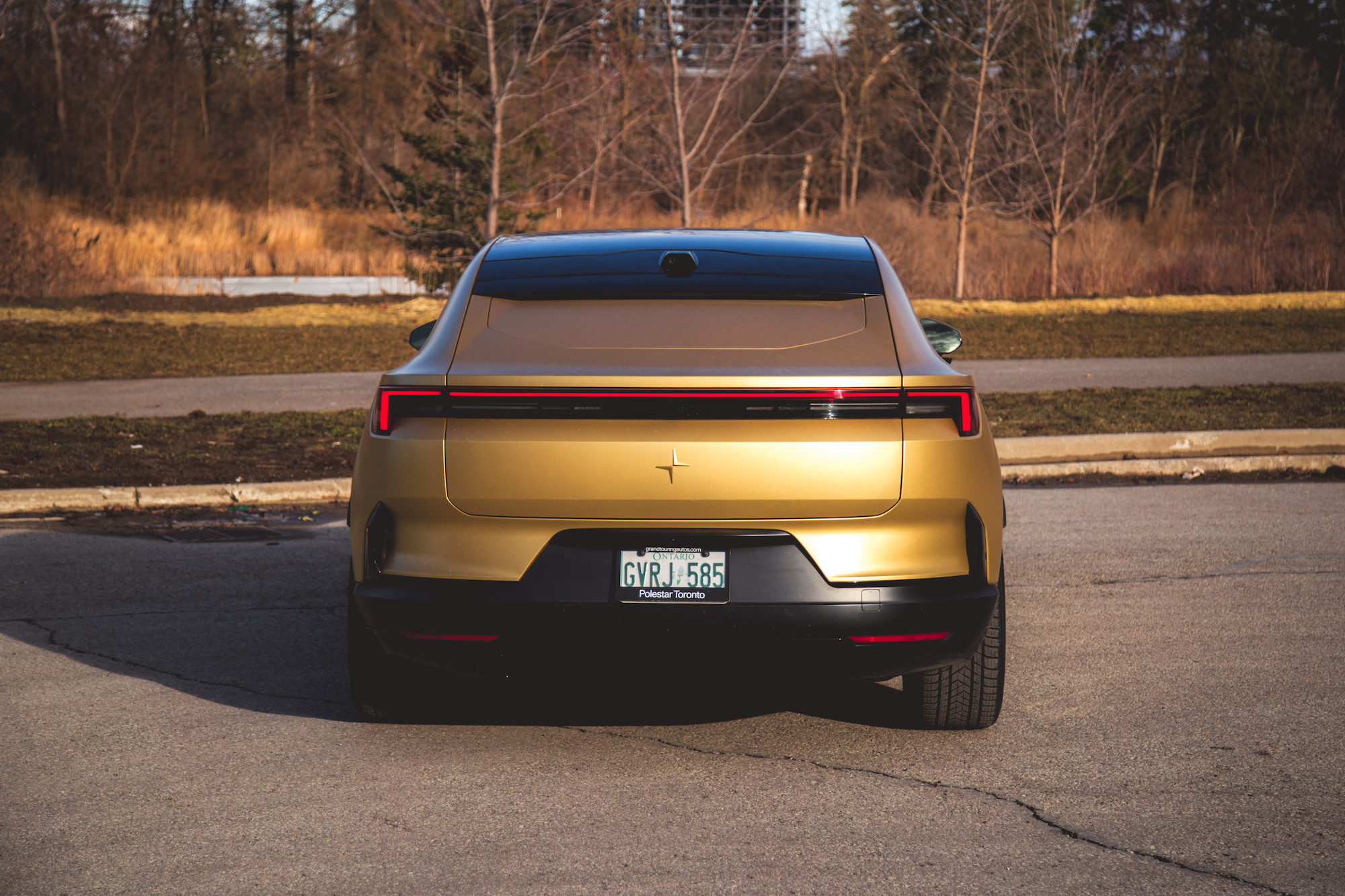 Vista trasera de un coche eléctrico dorado estacionado sobre asfalto, con un fondo natural borroso.